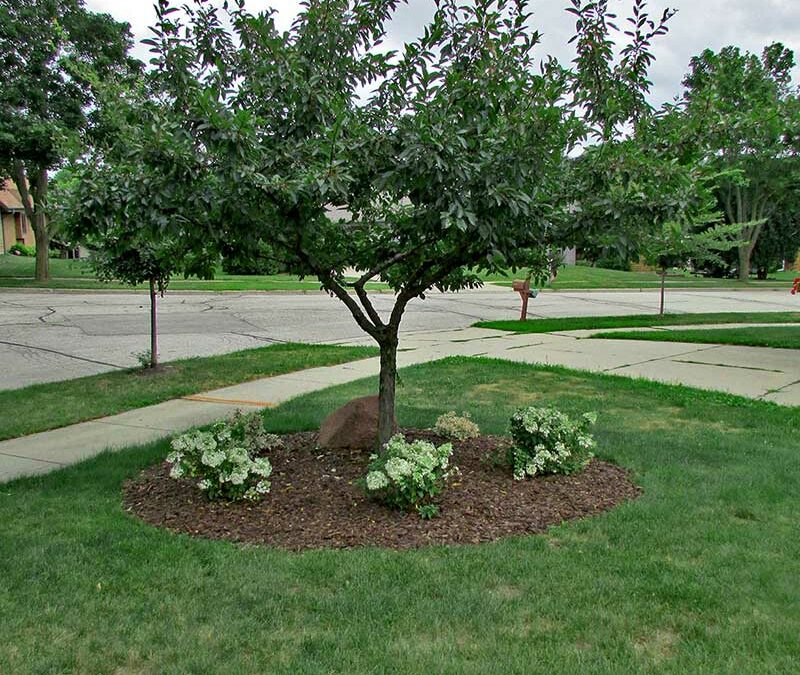 Subtle Sophistication for a West Bend Home