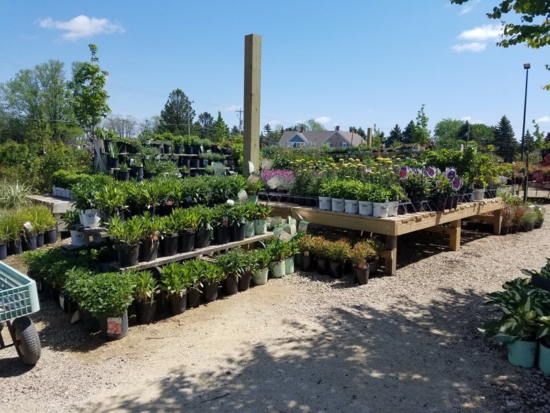 Garden-Center_02