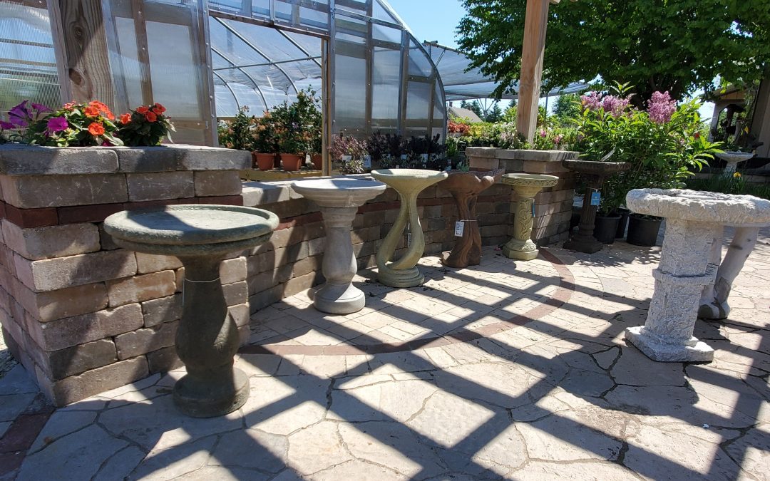 July 2020 Special Offers!