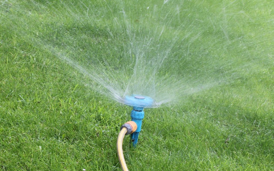 July Gardening Tips for Southeast Wisconsin