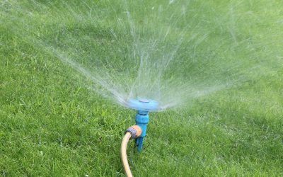 July Gardening Tips for Southeast Wisconsin