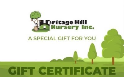 Gift Certificates