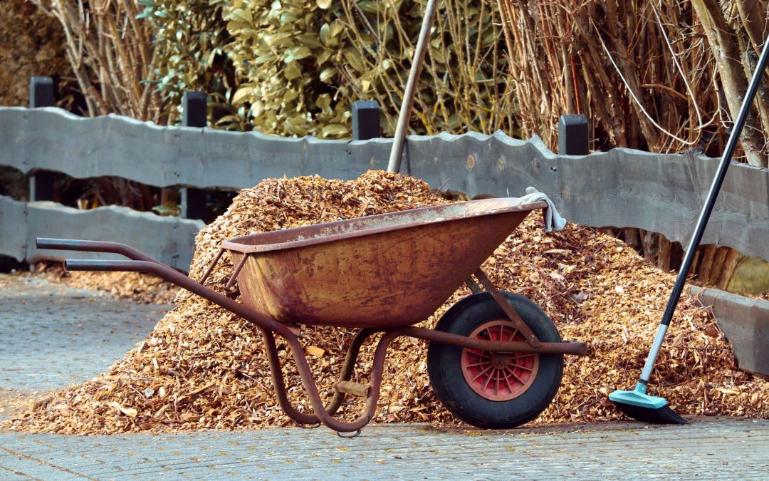 Wisconsin Gardner’s Seasonal Monthly Tips for August 2021