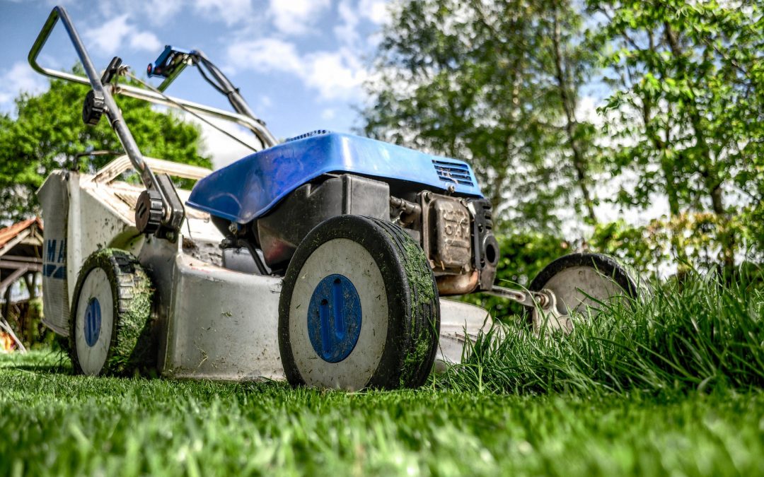 Wisconsin Gardner’s Seasonal Monthly Tips for October 2021