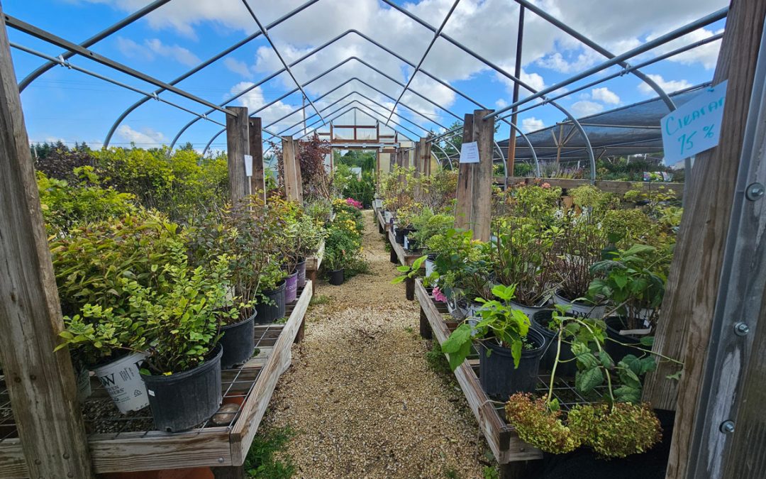Celebrate September with Spectacular Savings at Heritage Hill Nursery