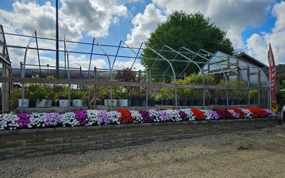 September Garden Tips for Cedarburg, WI: Preparing Your Garden for Fall