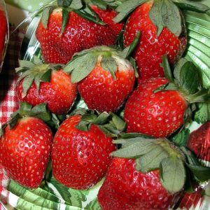 STRAWBERRY `ALLSTAR`