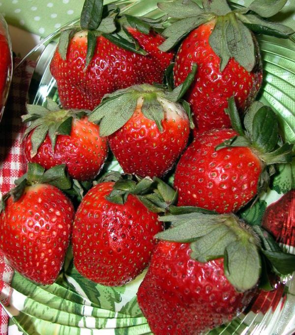 STRAWBERRY `ALLSTAR`