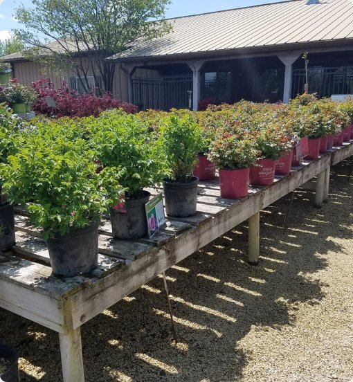 garden-center